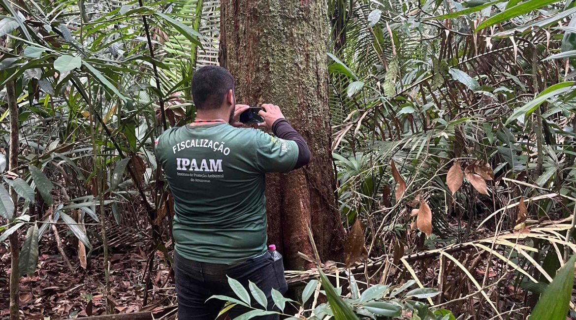 Período do Defeso Florestal inicia nesta quinta-feira no Amazonas ...