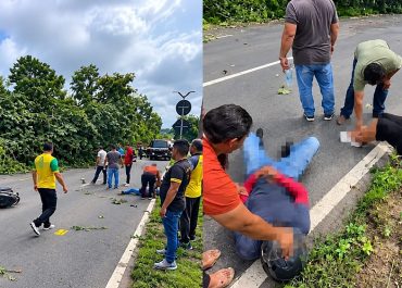 Motociclista fica ferido após árvore cair sobre moto na zona norte de Manaus