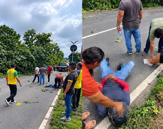 Motociclista fica ferido após árvore cair sobre moto na zona norte de Manaus