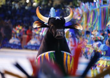 Boi Caprichoso completa 113 anos e anuncia programação de aniversário em Parintins