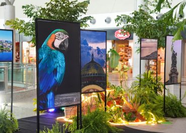 Aeroporto de Manaus inaugura mostra fotográfica sobre história, cultura e paisagens da cidade