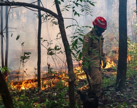 Governo aprova R$ 45,2 milhões para ajudar o Amazonas nas queimadas