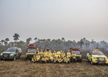 Brigadistas do Ibama combatem queimadas no interior do Amazonas; Governo Federal anuncia R$ 14 milhões