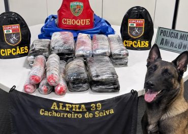 Cadela Athena ajuda polícia a localizar drogas avaliadas em mais de R$ 830 mil no Amazonas